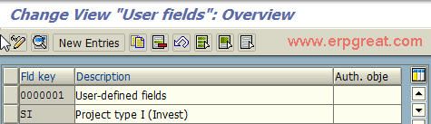 Create User-Defined Fields for WBS Elements