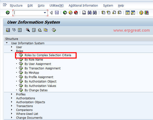 Check Authorization Role Using Certain Tcode