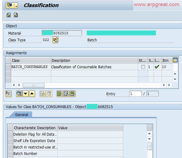 Material Master Classification view