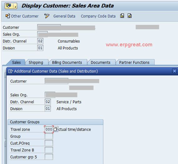 Maintain Customer Group 1 In Customer Master