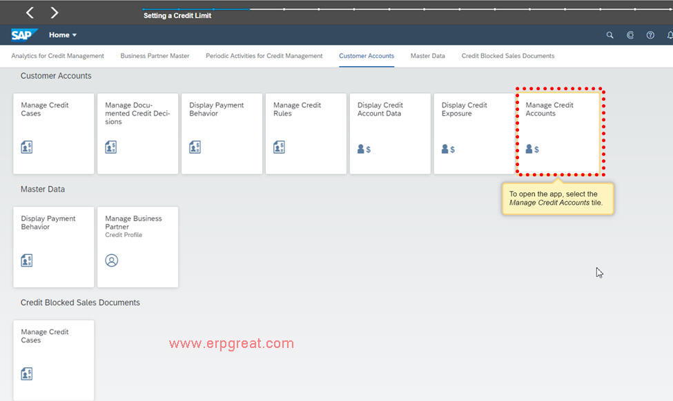 Manage Credit Account