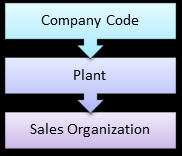 Assignment Of Organizational Data