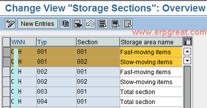 Defining Storage Section